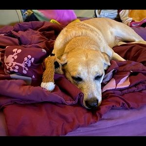 Meet your Posher, Kimberly